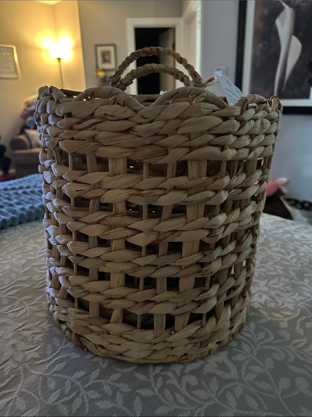 Natural Seagrass Woven Baskets with Handles 2-pack